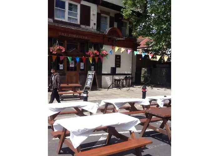 The Forester Ealing